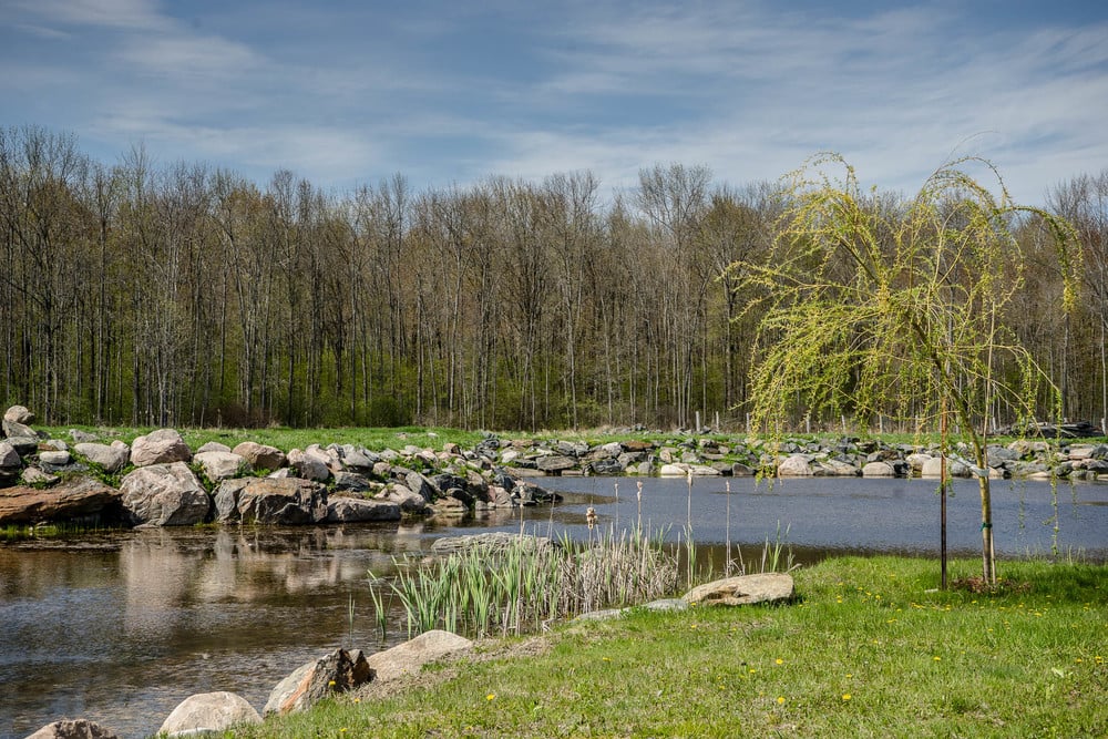 Potter Setttlement pond