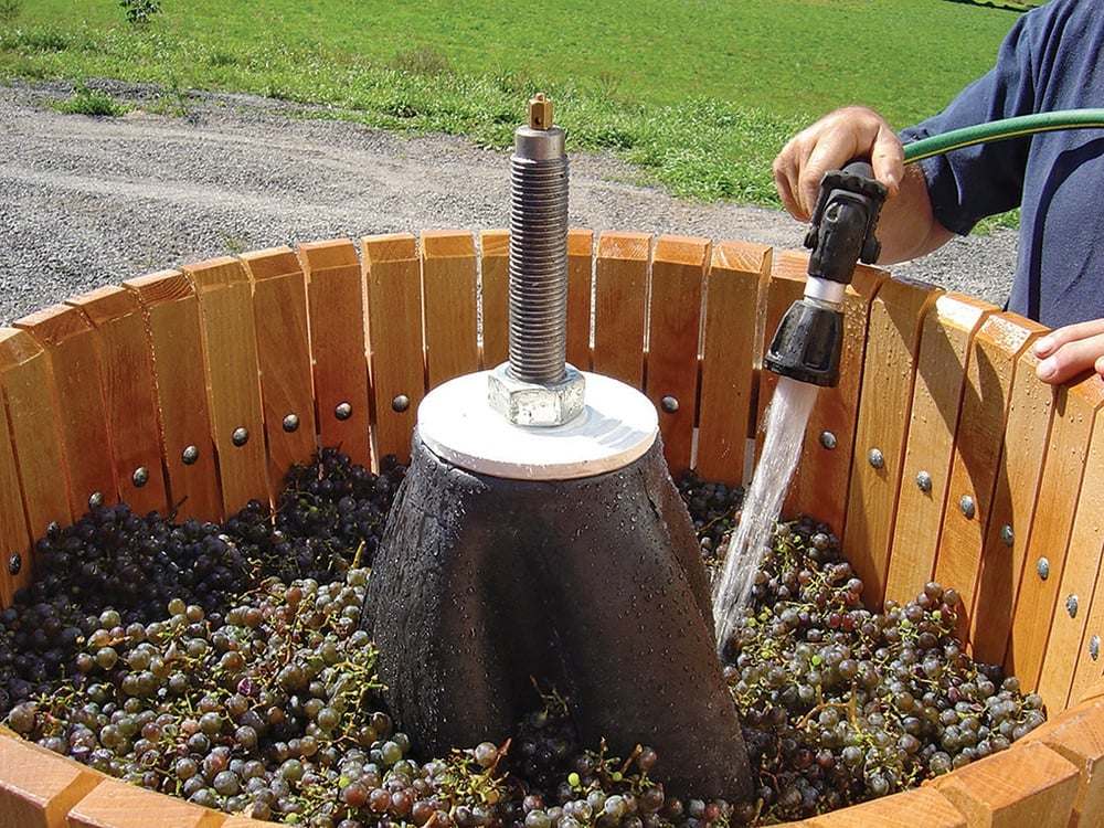 wine in vat