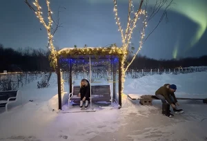 Ice Skate Bus shelter