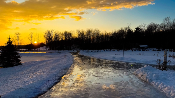 Ice Trail Skating Day Pass (11 a.m. – 4 p.m.)